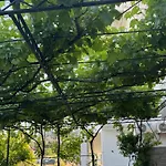 Villa Noah
